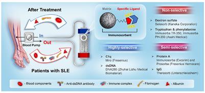 The development of immunosorbents for the treatment of systemic lupus erythematosus via hemoperfusion